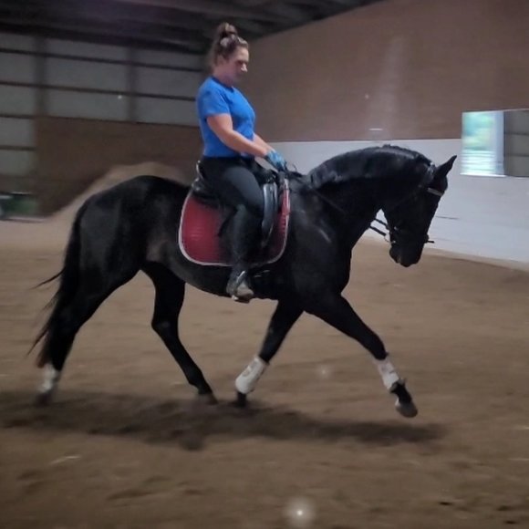 Meet your Posher, Amanda - Picture 4 of 7